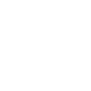 04_shinsegae