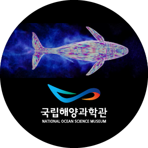 울진해양과학관 3면 미디어월